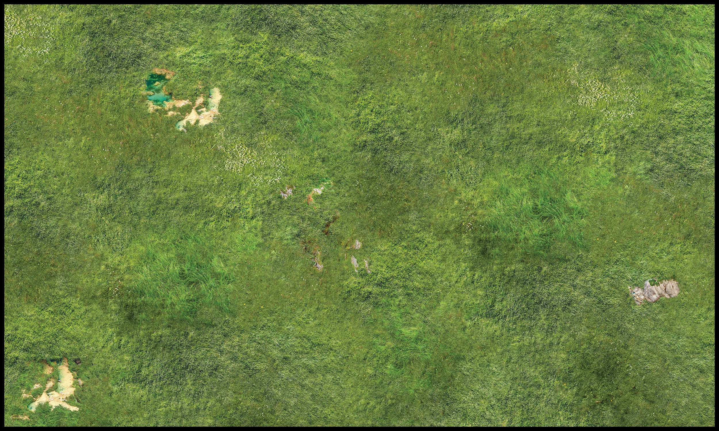 Grasslands-largefile